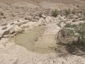 תמונה ממוזערת לגרסה מתאריך 11:27, 16 במאי 2025