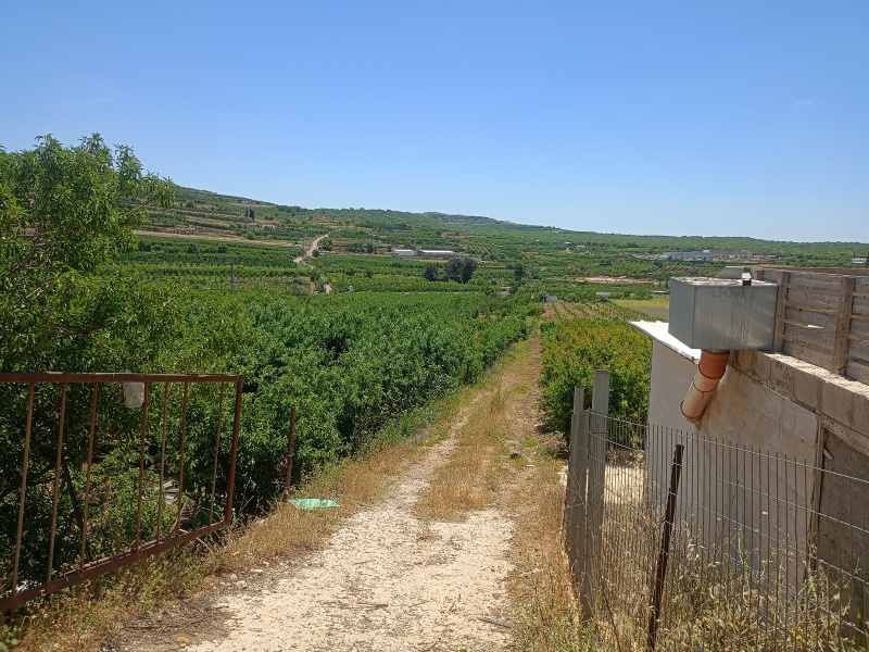 קובץ:2025-05-16T13 07 30.780443624672.jpg