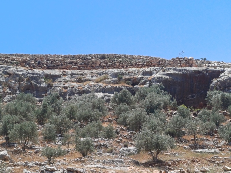 קובץ:2025-05-16T13 10 35.858203899398.jpg