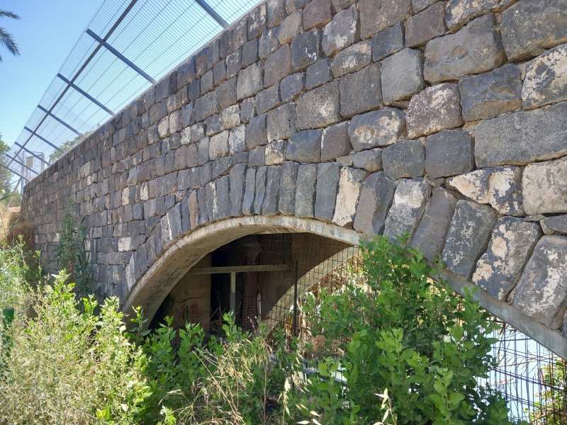קובץ:2025-05-16T14 14 33.087774948586.jpg