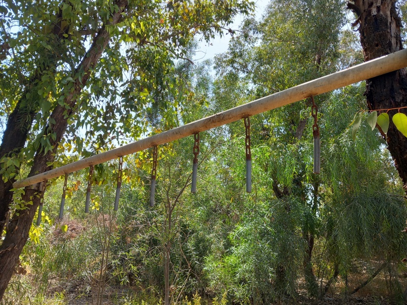 קובץ:2025-05-16T14 47 13.050716482594.jpg