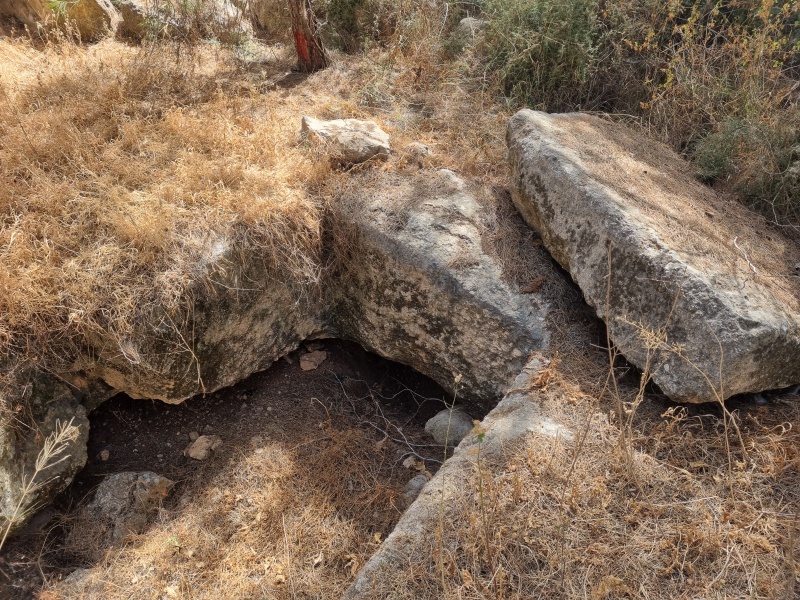 קובץ:2025-05-16T15 04 23.020703522176.jpg