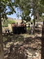 תמונה ממוזערת לגרסה מתאריך 11:43, 16 במאי 2025