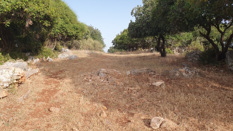 קובץ:2025-05-16T17 34 29.290130465685.jpg