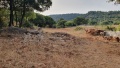 תמונה ממוזערת לגרסה מתאריך 11:47, 17 במאי 2025