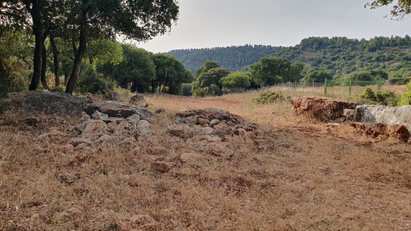 קובץ:2025-05-16T17 35 17.503906236720.jpg
