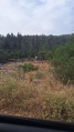 תמונה ממוזערת לגרסה מתאריך 15:14, 16 במאי 2025