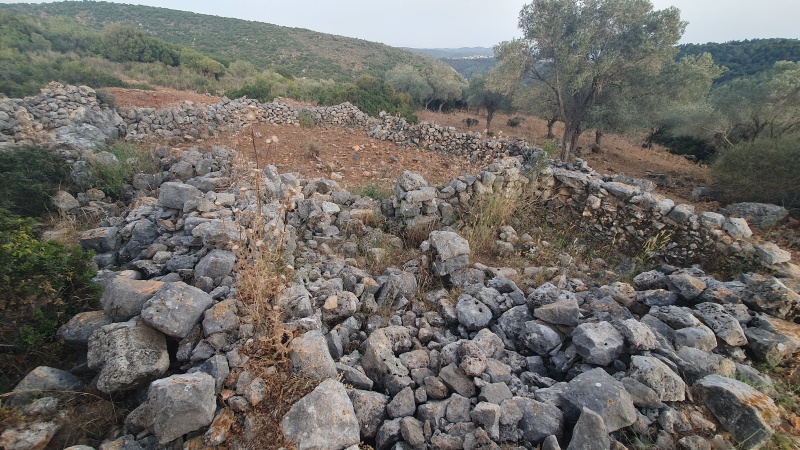 קובץ:2025-05-16T18 46 10.383096592193.jpg