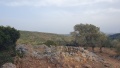 תמונה ממוזערת לגרסה מתאריך 11:47, 17 במאי 2025