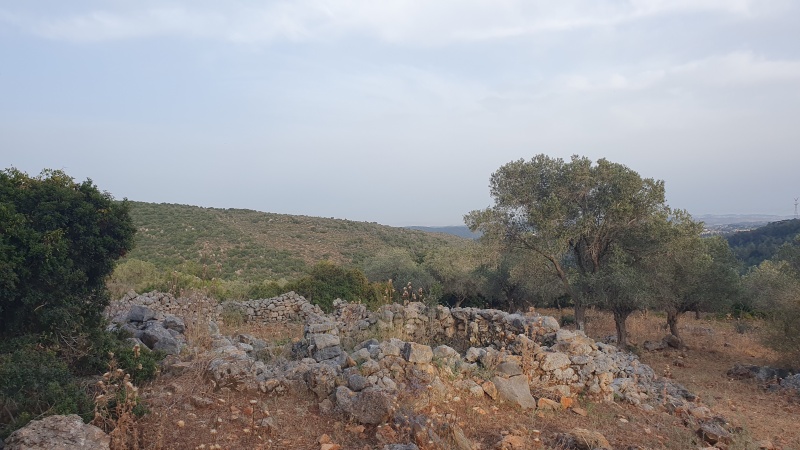 קובץ:2025-05-16T18 47 02.39170522304.jpg