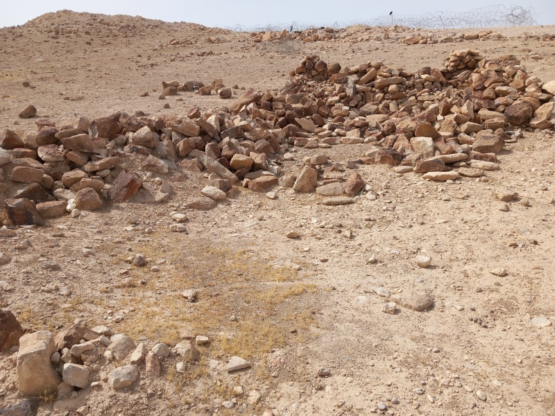 קובץ:2025-05-17T09 26 49.377941650058.jpg