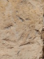 תמונה ממוזערת לגרסה מתאריך 07:45, 17 במאי 2025