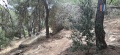 תמונה ממוזערת לגרסה מתאריך 08:09, 17 במאי 2025