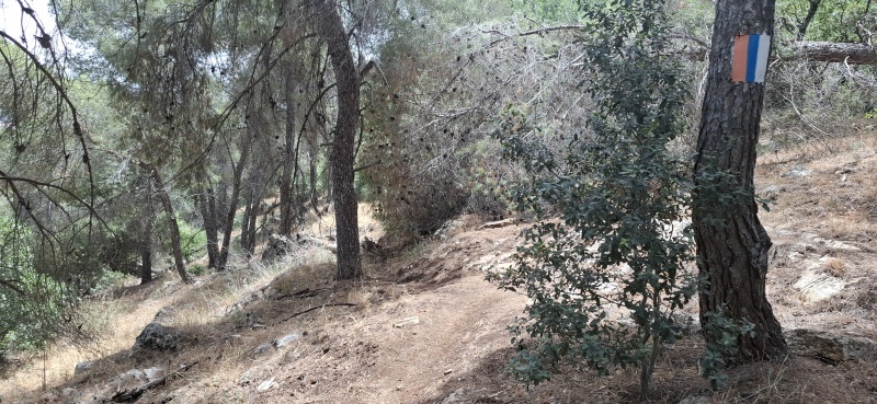 קובץ:2025-05-17T11 29 43.803868835795.jpg