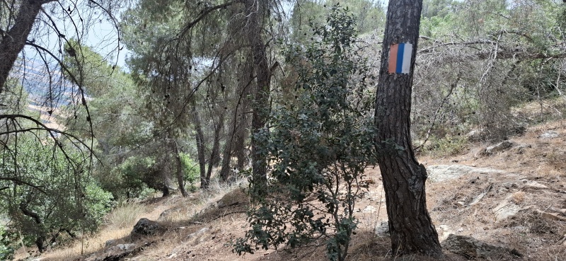 קובץ:2025-05-17T11 32 55.609779571410.jpg