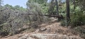 תמונה ממוזערת לגרסה מתאריך 14:59, 18 במאי 2025