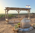 תמונה ממוזערת לגרסה מתאריך 08:48, 17 במאי 2025