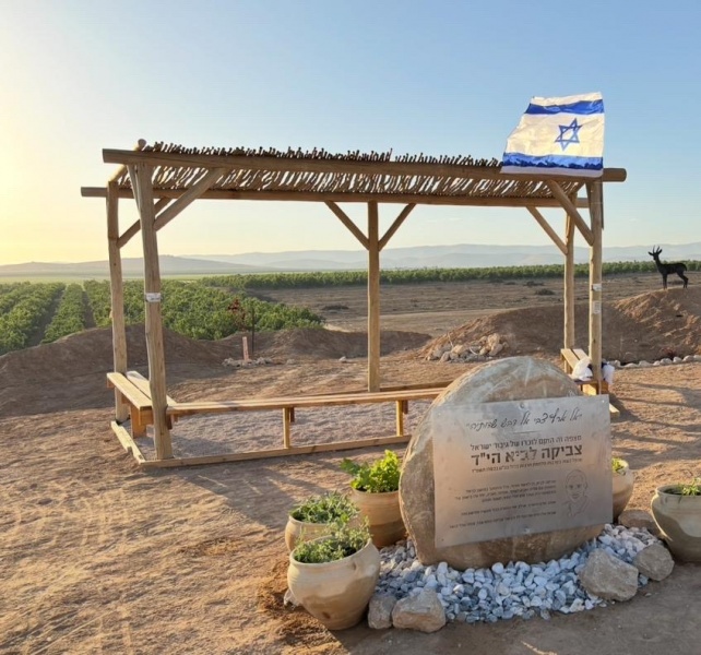 קובץ:2025-05-17T12 11 04.211885234143.jpg