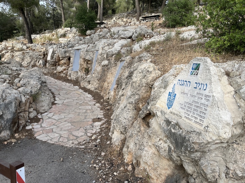 קובץ:2025-05-18T18 32 12.603224969935.jpg