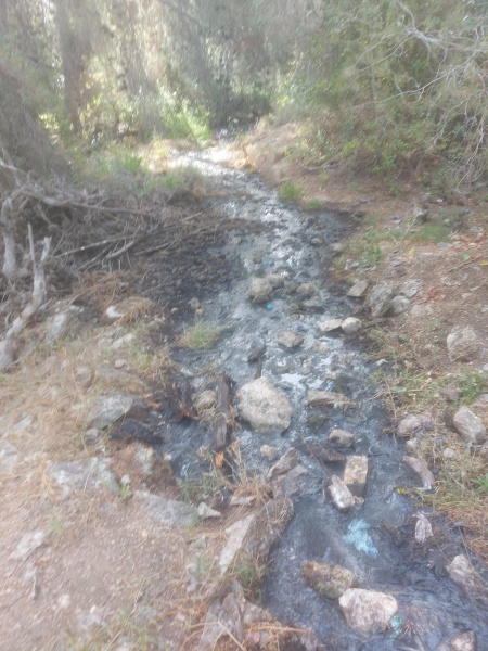 קובץ:2025-05-19T08 14 06.688708778457.jpg