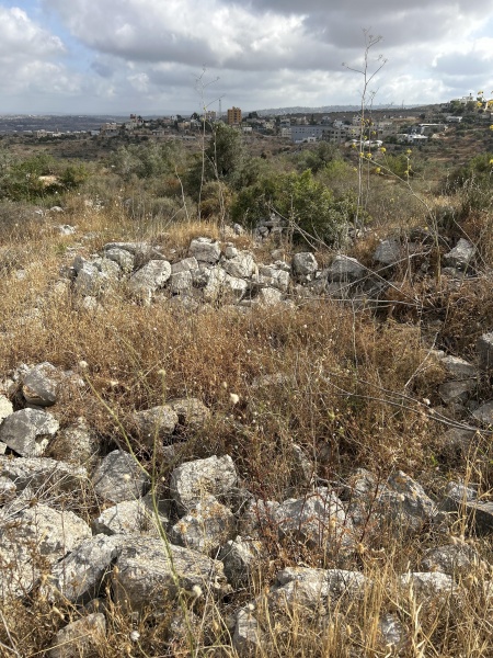 קובץ:2025-05-19T08 14 45.321682887856.jpg