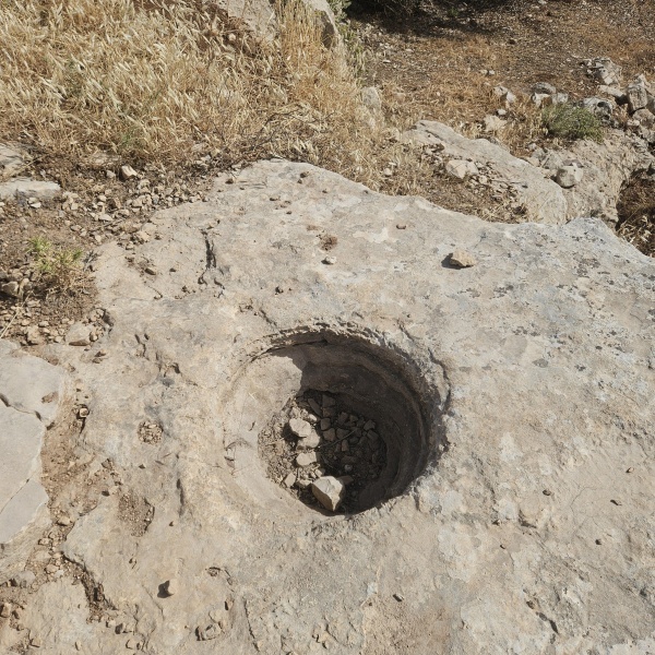 קובץ:2025-05-19T09 03 29.308380301878.jpg
