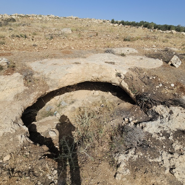קובץ:2025-05-19T09 09 42.547934356364.jpg