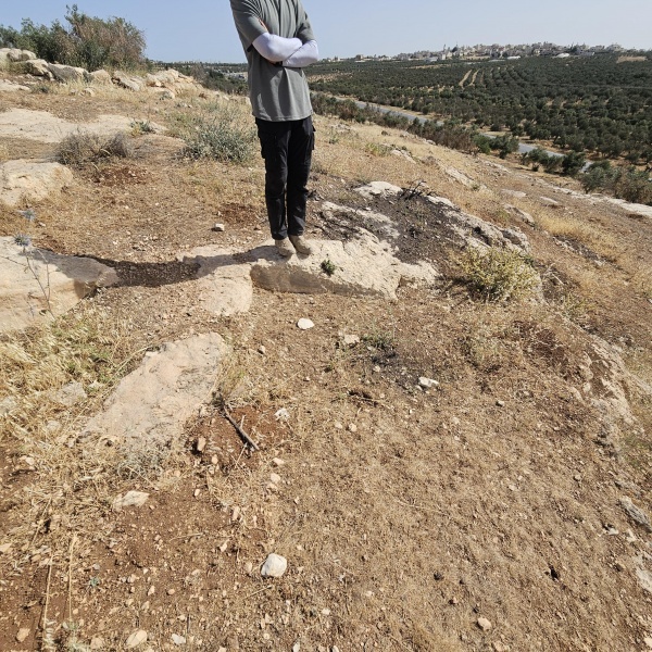 קובץ:2025-05-19T09 11 26.216140370271.jpg