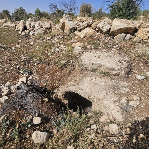קובץ:2025-05-19T09 19 46.273843877056.jpg