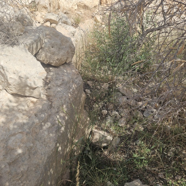 קובץ:2025-05-19T09 22 45.222618234383.jpg