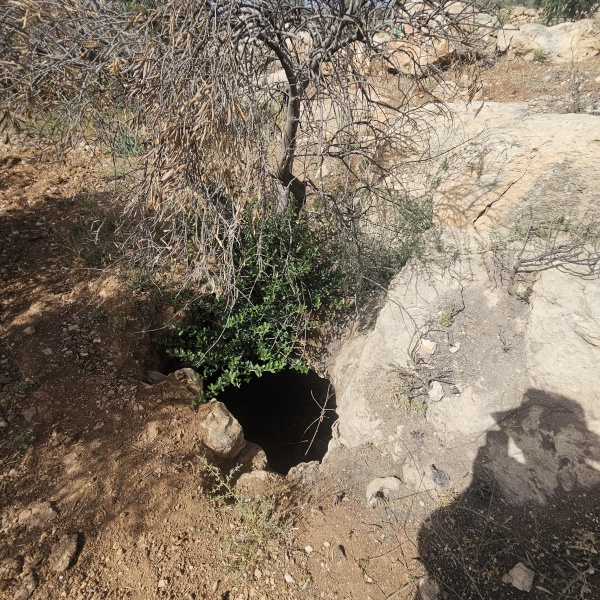 קובץ:2025-05-19T09 25 28.08801755420.jpg