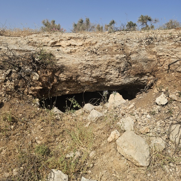 קובץ:2025-05-19T09 27 26.413557574226.jpg