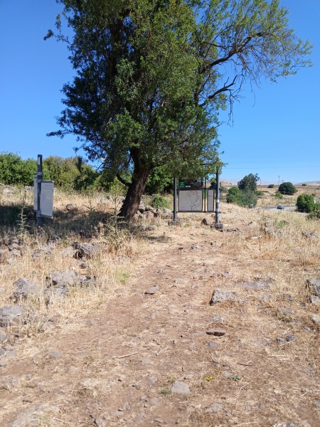 קובץ:2025-05-19T09 59 45.536507484395.jpg
