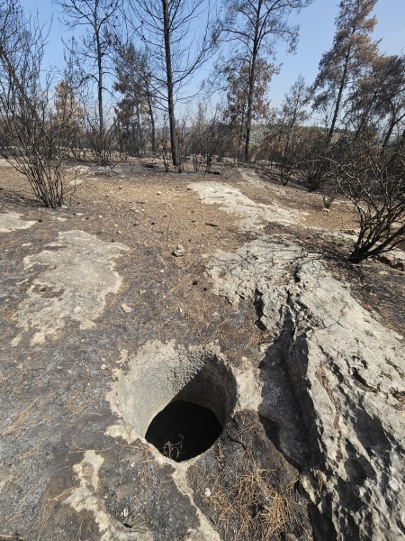 קובץ:2025-05-19T10 06 23.563816849901.jpg