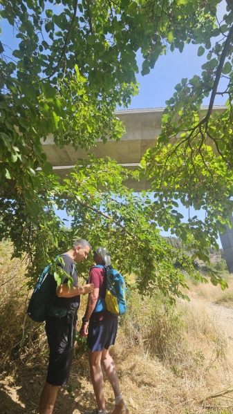 קובץ:2025-05-19T10 10 11.917627877985.jpg