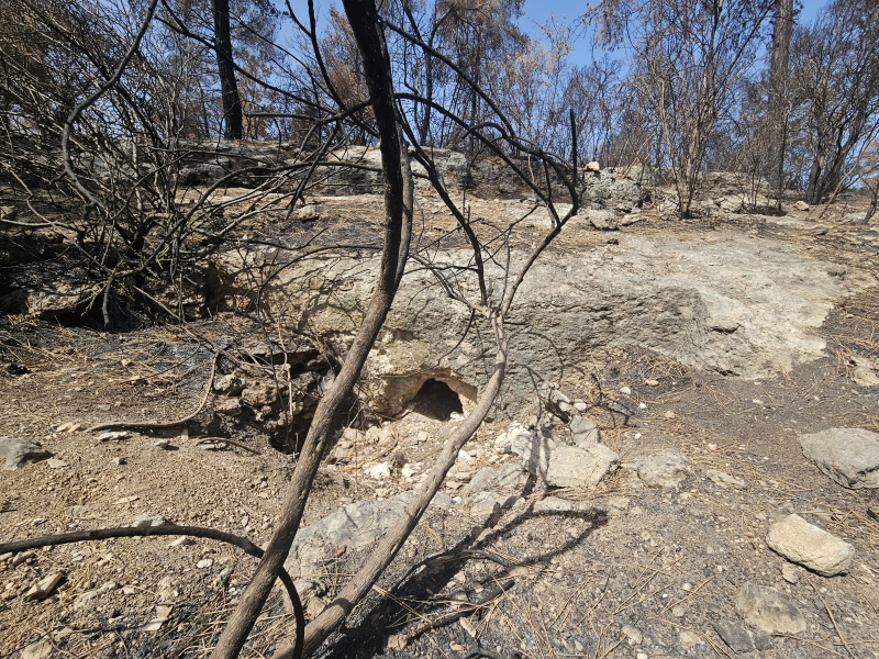 קובץ:2025-05-19T10 17 05.353572802069.jpg