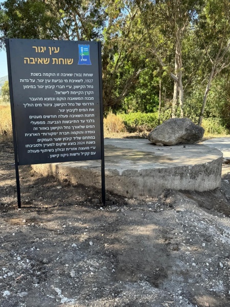 קובץ:2025-05-19T11 31 43.375505741151.jpg