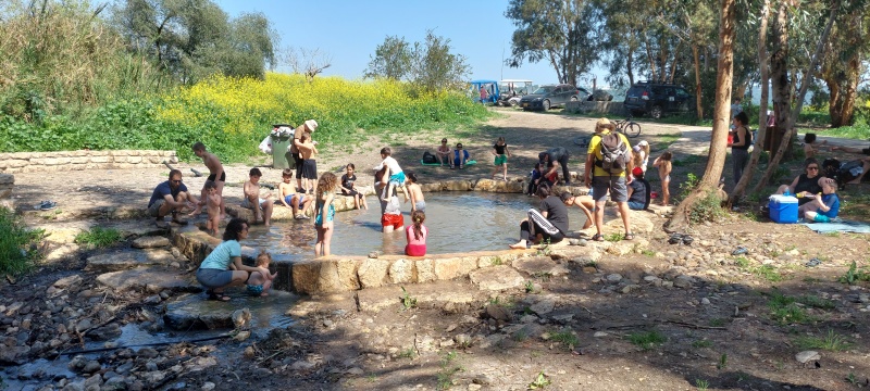 קובץ:2025-05-19T11 45 03.721772508040.jpg