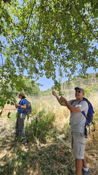 קובץ:2025-05-19T11 59 44.093679211446.jpg