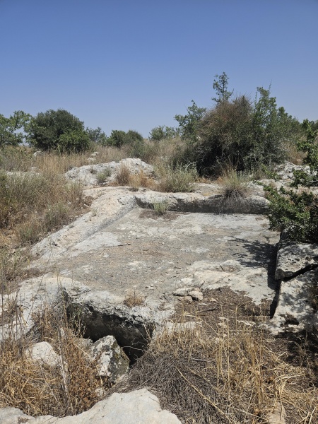 קובץ:2025-05-19T13 59 50.896453671567.jpg