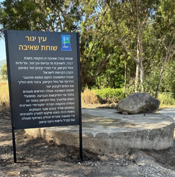 קובץ:2025-05-19T14 05 07.955917142886.jpg