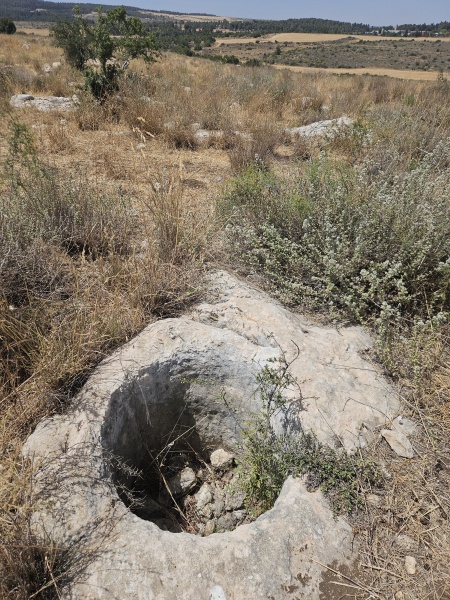 קובץ:2025-05-19T14 14 58.067134503798.jpg