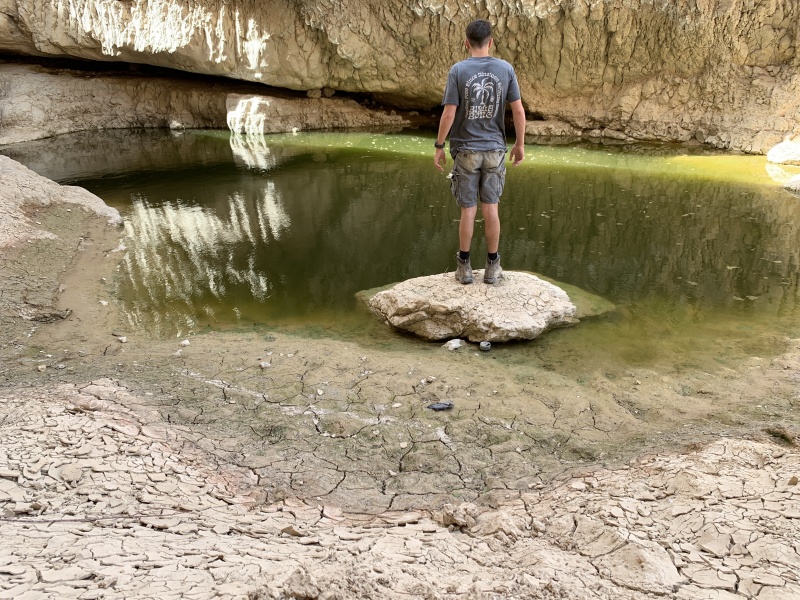 קובץ:2025-05-19T15 37 48.54845327717.jpg