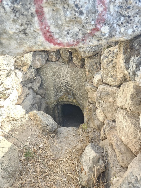 קובץ:2025-05-19T16 00 05.430092138736.jpg