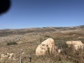 תמונה ממוזערת לגרסה מתאריך 06:07, 20 במאי 2025