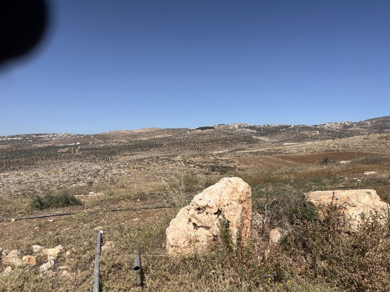 קובץ:2025-05-20T09 29 16.680781716545.jpg