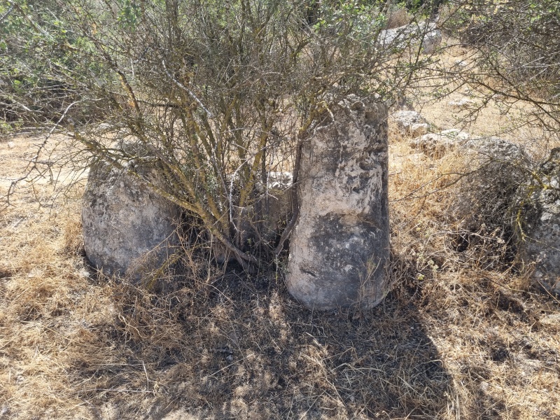 קובץ:2025-05-20T10 39 35.75986868310.jpg