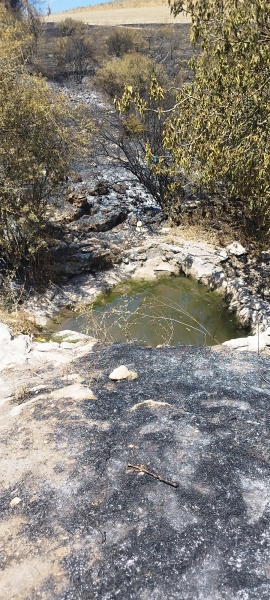 קובץ:2025-05-20T11 13 57.82965526599.jpg