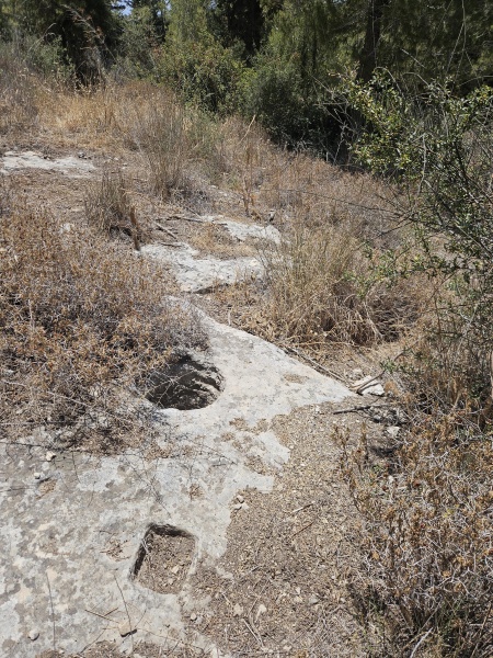 קובץ:2025-05-20T12 34 09.785476717562.jpg