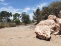 תמונה ממוזערת לגרסה מתאריך 14:06, 21 במאי 2025